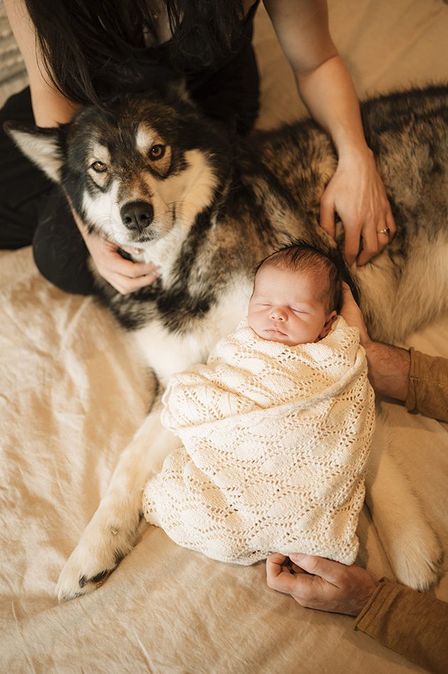 Bend Oregon newborn photography