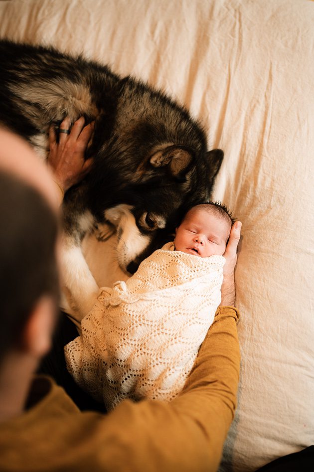 Bend oregon newborn photos