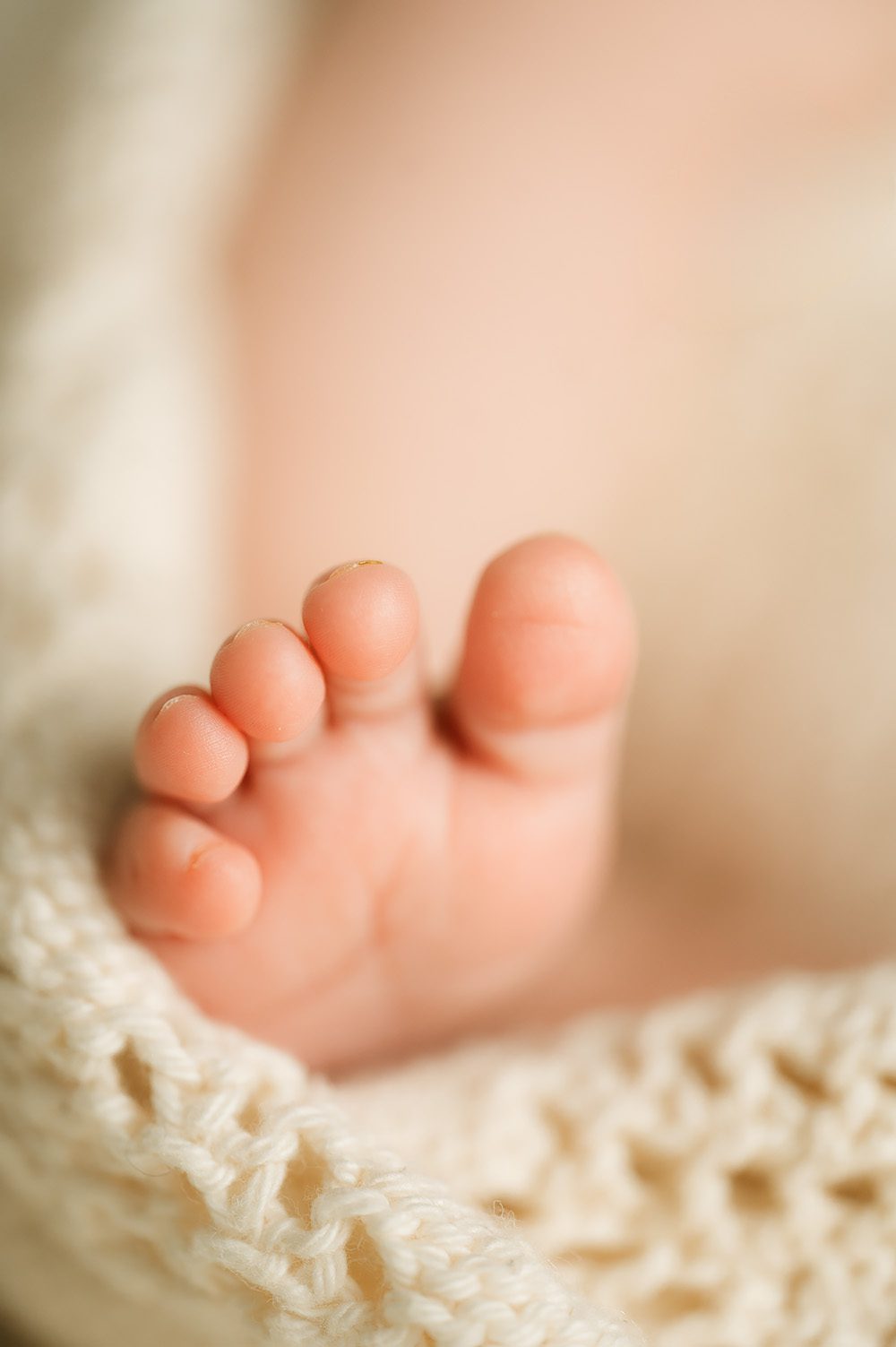 newborn photography bend oregon